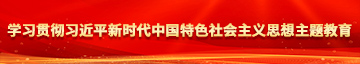 狂操骚逼视频学习贯彻习近平新时代中国特色社会主义思想主题教育